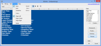 BGInfo screenshot 10