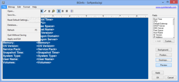 BGInfo screenshot 7