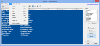 BGInfo screenshot 9