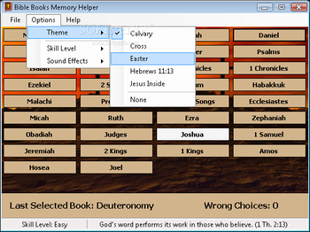 Bible Books Memory Helper screenshot 3