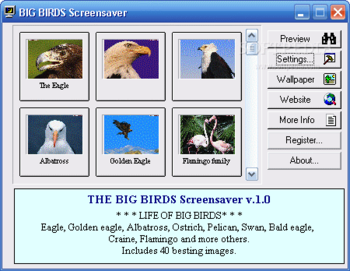 Big Birds Screensaver screenshot 2
