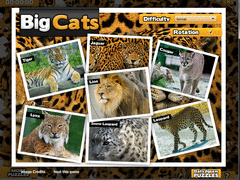 Big Cats Jigsaw Puzzle screenshot