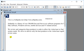 Big Faceless Java PDF Viewer screenshot