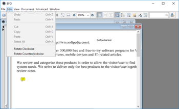 Big Faceless Java PDF Viewer screenshot 3
