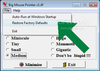 Big Mouse Pointer screenshot 3