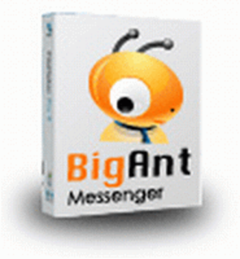 BigAnt IM standard 29U screenshot