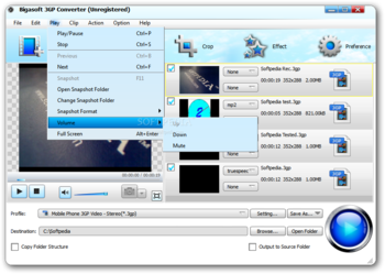 Bigasoft 3GP Converter screenshot 5