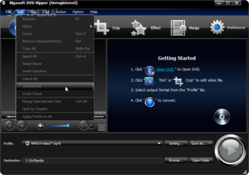 Bigasoft DVD Ripper screenshot 2