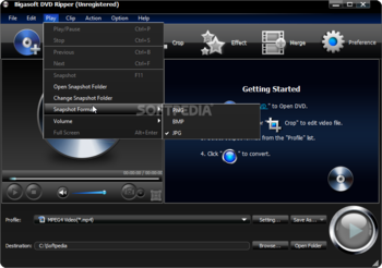 Bigasoft DVD Ripper screenshot 3