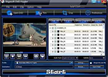 Bigasoft DVD Ripper screenshot 3