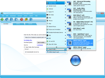 Bigasoft Facebook Downloader screenshot 2