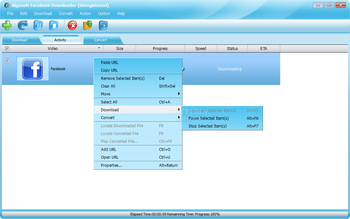 Bigasoft Facebook Downloader screenshot 3