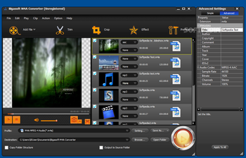 Bigasoft M4A Converter screenshot 9