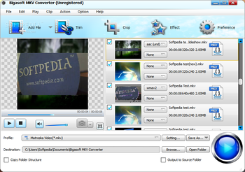 Bigasoft MKV Converter screenshot