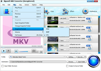 Bigasoft MKV Converter screenshot 11