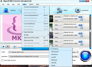 Bigasoft MKV Converter screenshot 12