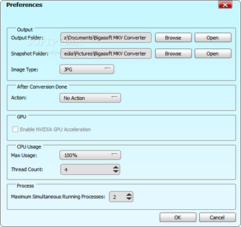 Bigasoft MKV Converter screenshot 13