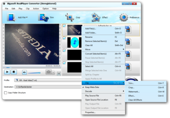 Bigasoft RealPlayer Converter screenshot 2