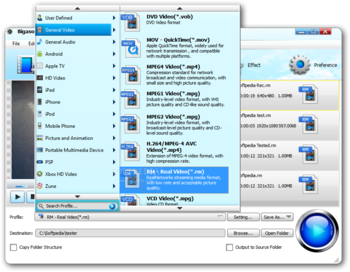 Bigasoft RealPlayer Converter screenshot 3