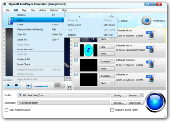 Bigasoft RealPlayer Converter screenshot 4