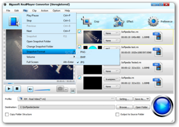 Bigasoft RealPlayer Converter screenshot 5