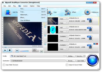 Bigasoft RealPlayer Converter screenshot 6