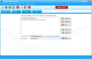 Bigasoft Video Downloader screenshot 4