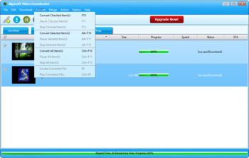 Bigasoft Video Downloader screenshot 8
