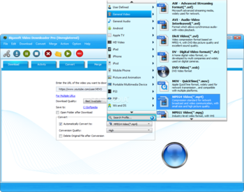 Bigasoft Video Downloader Pro screenshot 2