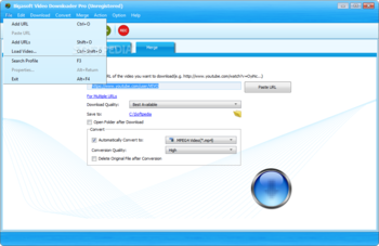 Bigasoft Video Downloader Pro screenshot 5