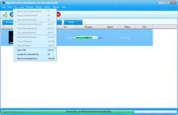 Bigasoft Video Downloader Pro screenshot 6