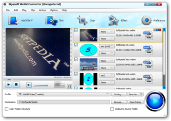 Bigasoft WebM Converter screenshot