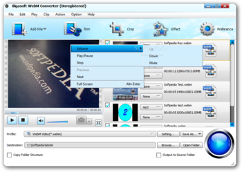 Bigasoft WebM Converter screenshot 2