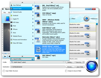 Bigasoft WebM Converter screenshot 3