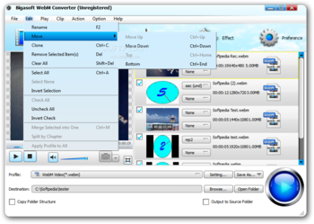 Bigasoft WebM Converter screenshot 4