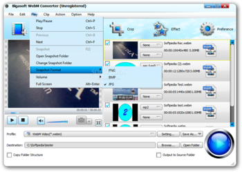 Bigasoft WebM Converter screenshot 5