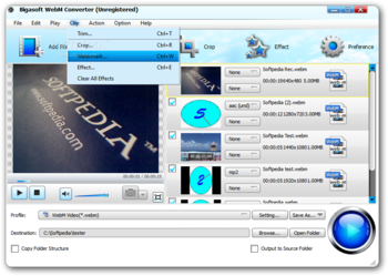 Bigasoft WebM Converter screenshot 6
