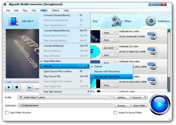 Bigasoft WebM Converter screenshot 7