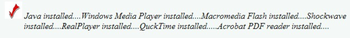 BigSite Plugin Checker screenshot 2