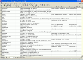 Bilingual Portuguese / Brazilian Dictionary Databases screenshot 8