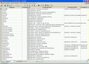 Bilingual Swedish Dictionary Databases screenshot 11