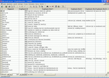 Bilingual Swedish Dictionary Databases screenshot 5