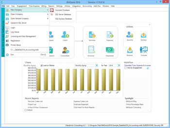 BillQuick screenshot 2
