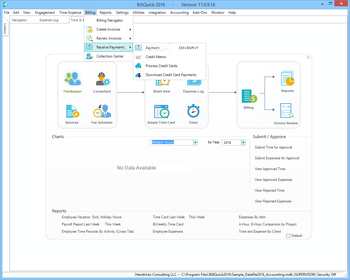 BillQuick screenshot 7