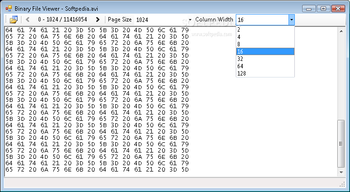 Binary File Viewer screenshot