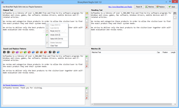 BinaryMark RegEx Edit screenshot