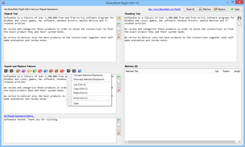BinaryMark RegEx Edit screenshot 13