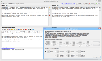 BinaryMark RegEx Edit screenshot 16