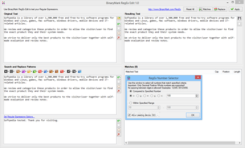 BinaryMark RegEx Edit screenshot 17