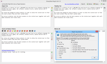 BinaryMark RegEx Edit screenshot 18